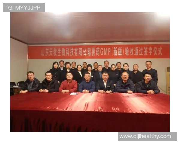 深圳羽毛球队的崛起之路:洲际杯背后的奋斗与荣耀 深圳羽毛球队的崛起之路:洲际杯背后的奋斗与荣耀